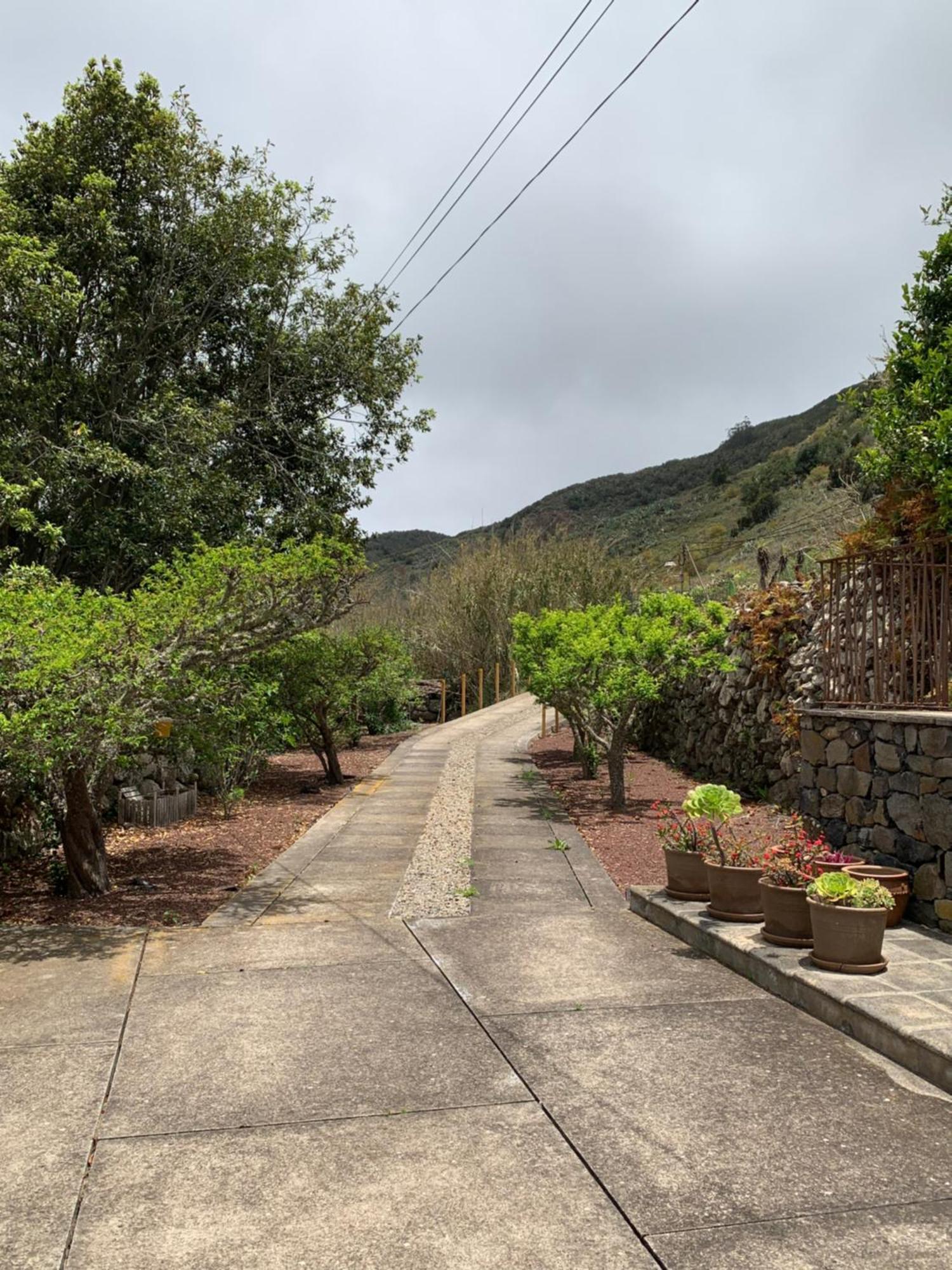 Casa Rural El Chorrito 부에나비스타 델 노르테 외부 사진